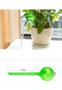 Automatic Watering Globes for Indoor Plants