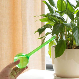 Automatic Watering Globes for Indoor Plants